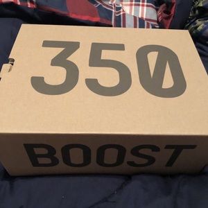 Yeezy 350